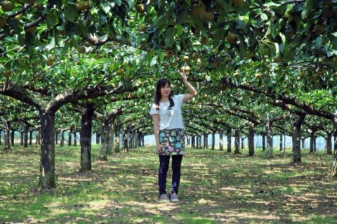 農業女子図鑑！「暮らしとともにある農業の大切さと楽しさを感性豊かに伝え続けたい。」實川真由美【千葉県】-vol.7-